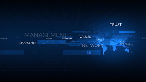 不符合重點(diǎn)軟件企業(yè)標(biāo)準(zhǔn)，網(wǎng)絡(luò)技術(shù)服務(wù)企業(yè)稅收優(yōu)惠力度下降的挑戰(zhàn)與應(yīng)對